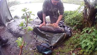 Think carp fishing lymm angling wrinehill [upl. by Pavla]