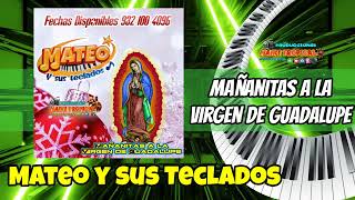 Mix Cantos a la Virgen de Guadalupe  Mateo y sus Teclados Mañanitas 2022 [upl. by Erie]