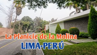 LIMA PERÚ ASÍ LUCE LA ZONA EXCLUSIVA DE LA MOLINA quotLA PLANICIEquotDÍA 26 DE JUNIO DE 2022♥️👍 [upl. by Derfniw]