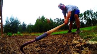 Planting Candy Onions [upl. by Enytsirk]