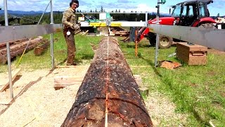 Biggest Log Ive Milled [upl. by Mailiw]