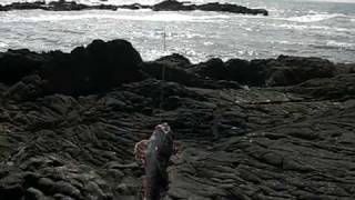 Rock fishing at Pescadero CA [upl. by Cristy473]