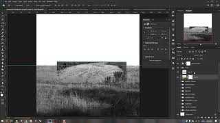 Pond  Planting in Photoshop [upl. by Ez579]