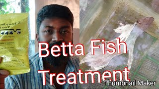 BettafishtreatmentKerala [upl. by Airotnahs]