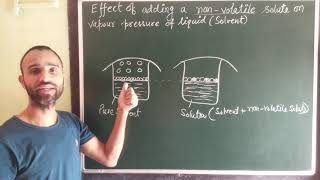 Effect of adding non volatile solute on vapour pressure of solution  solution  class 12 [upl. by Fulks939]