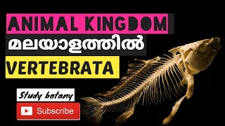 SUB PHYLUM VERTEBRATA CHAPTER4 ANIMAL KINGDOM PLUS ONE BIOLOGY MALAYALATHIL PART15 STUDY BOTANY SB [upl. by Yadnil]