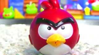 Epic Angry Birds War  Must See [upl. by Nerek]