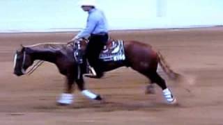 RR Star Player Reining Horse For Sale [upl. by Blakelee]