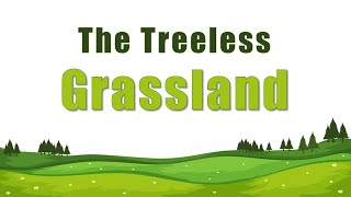 The treeless Grasslands l Prairies l Class 5 Social Science [upl. by Wolbrom]