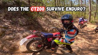 50 HONDA CT200 VS Enduro Will It Survive [upl. by Terbecki641]