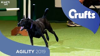 We Got a Runner Rescue Dog Agility  Crufts 2019 [upl. by Odnalo]