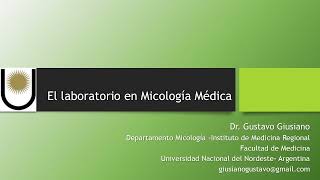 El laboratorio en Micología Médica Micosis sistémicas endémicas Paracoccidioidomicosis [upl. by Arber764]