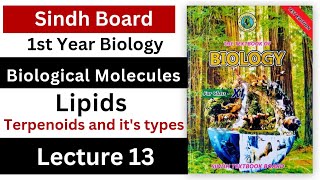 terpenoids  lipids  biological molecules class 11 biology Sindh board new book [upl. by Harol420]