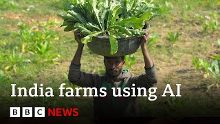 Artificial intelligence comes to farming in India  BBC News [upl. by Cherrita]