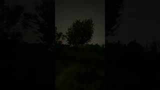 DANG CEDAR TREES cedar tree stuck roots update shorts johndeere trainingground texas [upl. by Anaihsat]