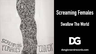 Screaming Females  quotSwallow The Worldquot [upl. by Corella]