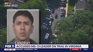 Trial underway for alleged MS13 gang member accused in 6 murders across Fairfax County [upl. by Eras297]