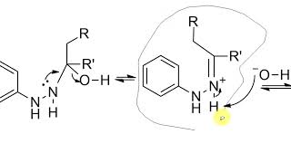 Fischer Indole Synthesis  Malayalam ഫിഷർ ഇൻഡോൾ സിന്തെസിസ് [upl. by Dowling]