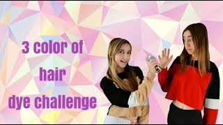 3 COLOR OF HAIR DYE CHALLENGE [upl. by Barrie864]