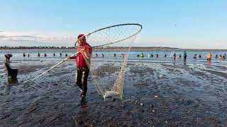 Dipnetting at Kenai Beach Alaska alaska fishing [upl. by Hallvard969]