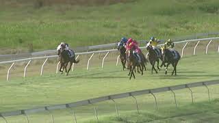 Yeppoon 20241102 Race 5 [upl. by Adoree]