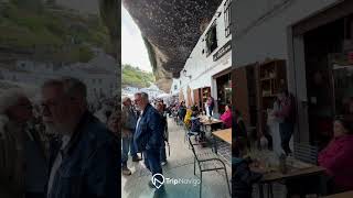 Setenil de las Bodegas skalne miasto w Andaluzji [upl. by Aerdnahc]