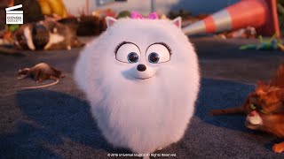 The Secret Life of Pets Saving Duke HD CLIP [upl. by Rhyne795]