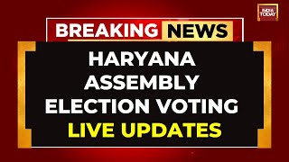 LIVE Haryana Assembly Elections Voting LIVE  MultiCornered Electoral Battle In Haryana [upl. by Einnim]