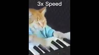 keyboard cat original vs 3x speedpitch [upl. by Enirehtahc156]