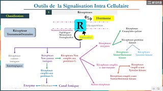 Leçon 8 Outils de la signalisation intracellulaire 1 Récepteurs [upl. by Ayekam]