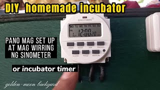 home made incubator SINOMETEr setting PART 202 [upl. by Spiers]