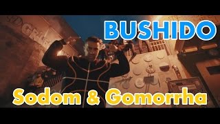 REACTION TO Bushido  Sodom amp Gomorrha  German reacts [upl. by Abibah]