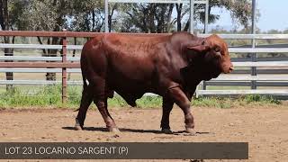 Lot 23 Locarno Sargent [upl. by Halla797]