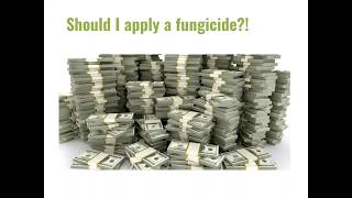 Fungicides 101 Why Apply A Fungicide On Corn [upl. by Cathryn226]