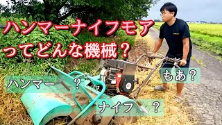 【自走式草刈機】バロネスハンマーナイフモアの用語解説。 [upl. by Jephthah]