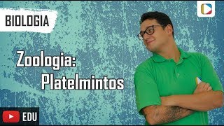 Biologia  Zoologia Platelmintos [upl. by Harmonia]