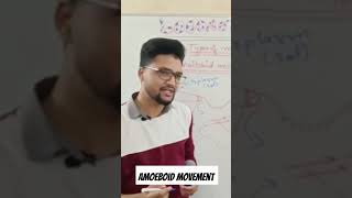 CONCEPT OF AMOEBOID MOVEMENTS LOCOMOTION AND MOVEMENTS BIO ROOTS biology neet plants science [upl. by Sidran]