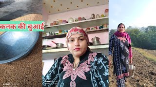 kheto me kanak beej🌾divillegeliferekha vlog❤️ [upl. by Caton304]