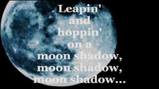 MOONSHADOW Lyrics  CAT STEVENS [upl. by Agnew]