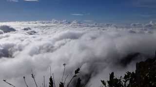 CERRO NEGRO CARIPE AMANCER [upl. by Alaet]