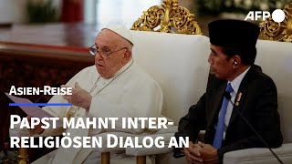 Papst ruft in Indonesien zu mehr interreligiösem Dialog auf  AFP [upl. by Yentiw]