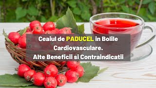 Ceaiul de PADUCEL in Bolile Cardiovasculare Alte Beneficii si Contraindicatii [upl. by Borreri747]