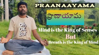 Pranayama  Uses Of Pranayama  How to Do Pranayama  In Telugu By Saanvika Myra Vlogs [upl. by Niel]