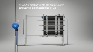 Revolutionize Dairy Processing with Alfa Laval Extend™ [upl. by Elirpa373]