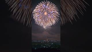 Diwali big rocket 🚀 shortvideo shorts [upl. by Ahsurej188]