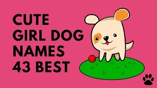 Cute Girl Dog Names  43 BEST NAMES you will LOVE  Names [upl. by Tamara]