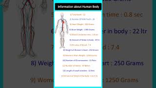 Human Body Informations 👀🧠✨🦴 You Need to Know [upl. by Nimzay]