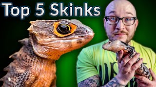 Top 5 BEST Pet Skinks  Potato Parade [upl. by Larred]