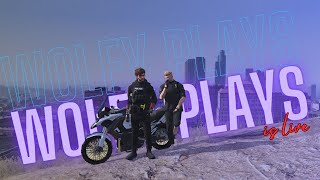 Threats on officers  NoPixel 40 India [upl. by Kier117]