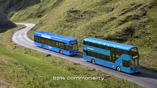 Wrightbus Electroliner Fleet [upl. by Orlov]